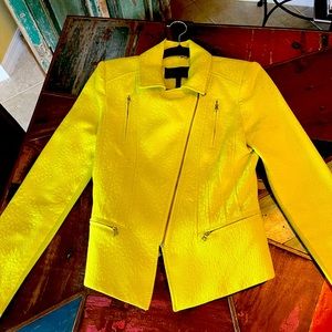 Beautiful yellow jacket